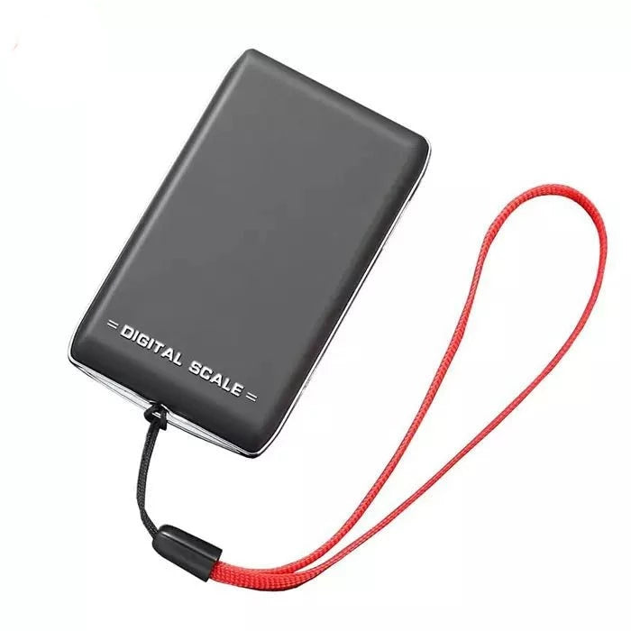 Pocket scale DS-22 100g x 0.01g~500g x 0.1g